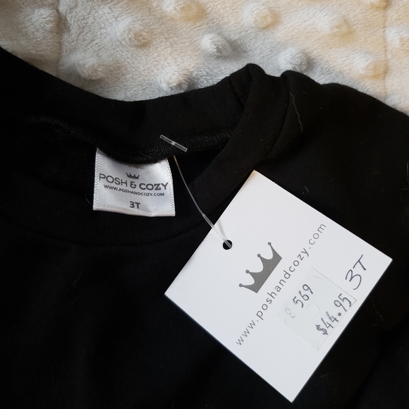 BNWT 3T Posh& Cozy Crew Sweater - Picture 2 of 2